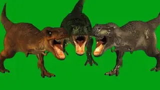 T RexTyrannosaurus With Sound Roar Green Screen Blue Screen Black Screen HD Video