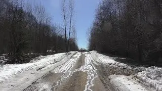 Апрельское утро в лесу