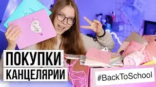 BACK TO SCHOOL 2019: ПОКУПКИ МИЛОЙ КАНЦЕЛЯРИИ К ШКОЛЕ Часть 1