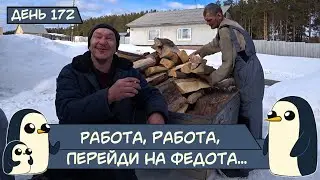 (День 172) Работа, работа, перейди на Федота...