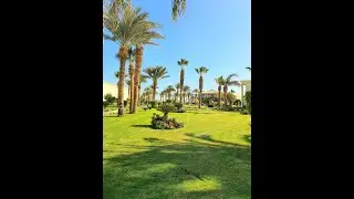 ЕГИПЕТ 🌝 Отель Swiss inn Resort 5* Хургада,❤ обзор территории🌴🌴🌴