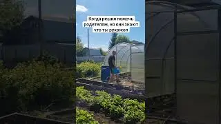 хотел помочь)))