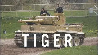 Tiger Tank Live Display | Tiger 131