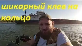 Двое в лодке. Рыбалка на кольцо. Дон.