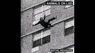 Animals On LSD - Social Neurosis (2023)