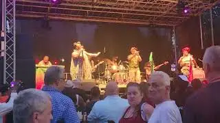 Arrested Development- Mr. Wendal - LIVE 7/12/24 - Schenectady Summer Nights, Schenectady, NY