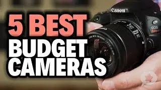 5 Best BUDGET CAMERAS 2020 - Pro Photography On A Tiny Budget
