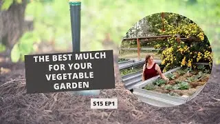 S15 E1: Mulching Magic: Unlocking the Secrets to a Thriving Garden