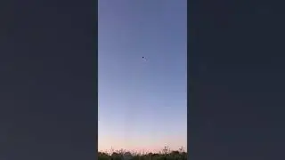 Butterfly firework?