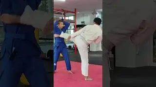 Karate Kids back on track 🥋 #jujitsufightingsystem #karate #karatetraining #jjif