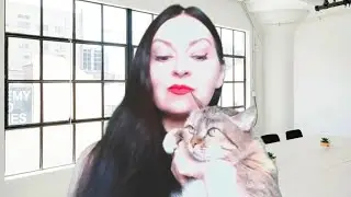 Легализация катастрофы 