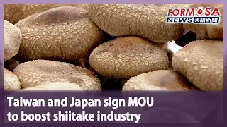 Taiwan and Japan sign MOU to boost shiitake industry｜Taiwan News