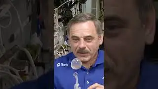 How Water Behaves In Zero Gravity 