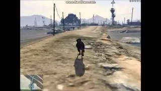 Gta V PC Chop,Eagle,Shark!!