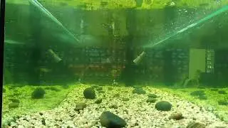 Воблер 130мм 52гр