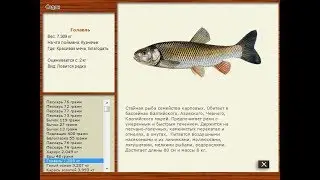 Русская рыбалка 2.4 Красивая меча.Голавль