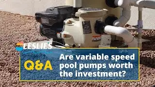 Q&A: Are Variable Speed Pool Pumps Worth the Investment? | Leslie's