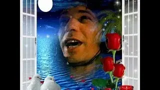 CAMARÓN****LUNA LLENA☾✡