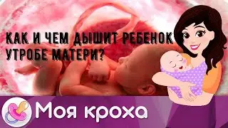 Как и чем дышит ребенок в утробе матери?