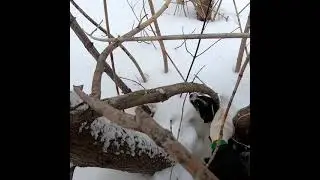 Всем не помочь, не значит, но можно попробовать.