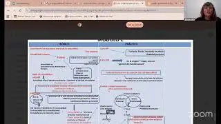 Guía de repaso integrado Teóricos - Seminarios - Prácticos Primer parcial
