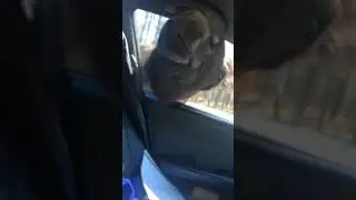 Она съела наш обед😱😁