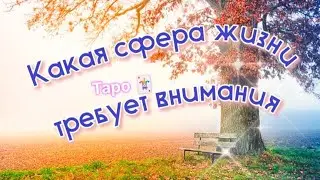 Какая сфера Жизни требует Вашего внимания!🚨