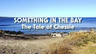 TRAILER: Something in the Bay: The Tale of Chessie