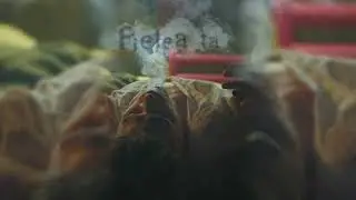 Cristian Porcari - Pielea Ta | Beia Remix (Official Visualizer)