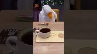 📚☕ Приветствуем нового партнера в Симферополе - @do.bro_siff! ☕📚