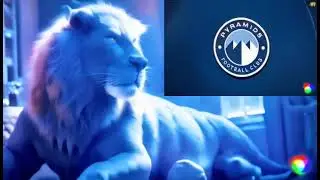 مقدمة برنامج بيراميدز مع نيزو