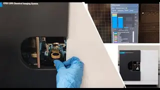 Rapid Detection of Microplastics (MPs) in Water Samples