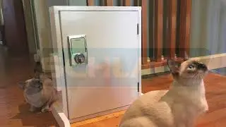 Schlage Sense Smart Deadbolt