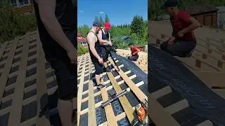 Мы их не звали, но они пришли!