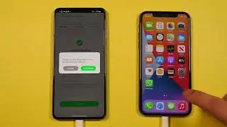 How to transfer WhatsApp from Android to iPhone? [WAtrans Tutorial]
