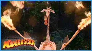 Melman sets himself on fire! | DreamWorks Madagascar