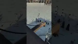 Умра сафари учун йўллар очиқ | umra 2022