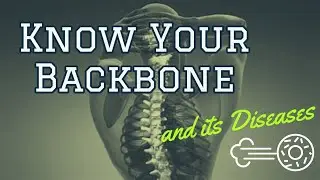 Backbone Structure