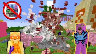 We Destroyed The WORST Minecraft Server… BIZARRE SMP (Grief Blocks, Get Money #112)