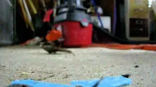 Smash my crappy Flash Drive