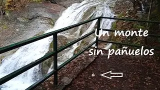 BIO-FLASH: Un monte sin pañuelos