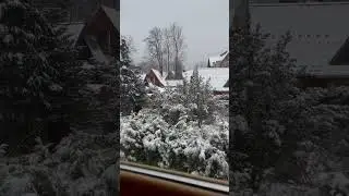 #біженцізукраїни