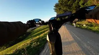 NAMI BURN-E MAX V2 DOWNHILL RIDE