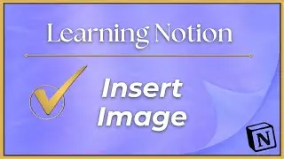 Notion Basics: Insert Image