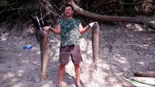 Ловля крупного БЕЛОГО АМУРА на реке ПРУТ.