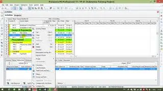 Video 1 //Customization of Primavera P6 window in Hindi