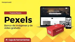 Pexels: Banco de imágenes y de video gratuito