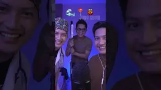 Pro vs Doctor Juno vs Brutal 