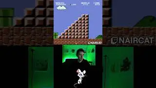 zooted mario bros
