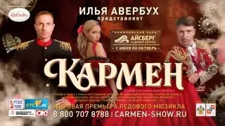 Ледовое шоу 